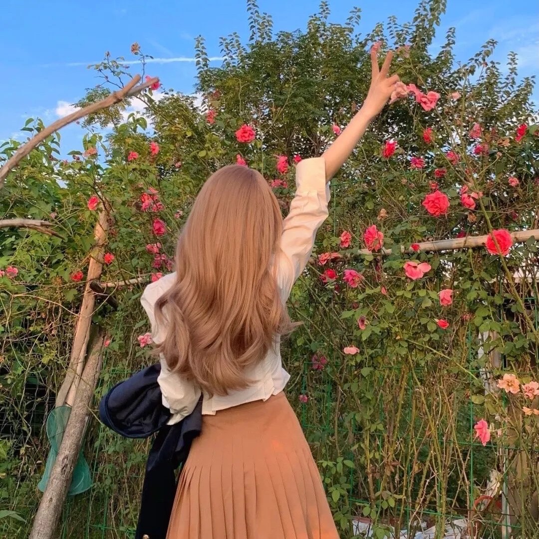 金装律师第四季